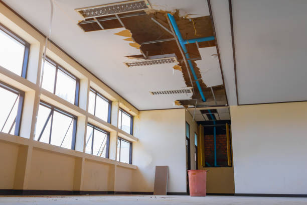 Best Residential water damage restoration  in Tracy City, TN