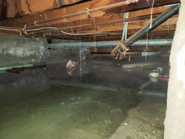 Best Water damage contractors near me  in Tracy City, TN