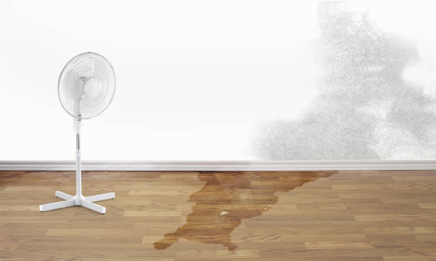 Best Flood damage cleanup  in Tracy City, TN