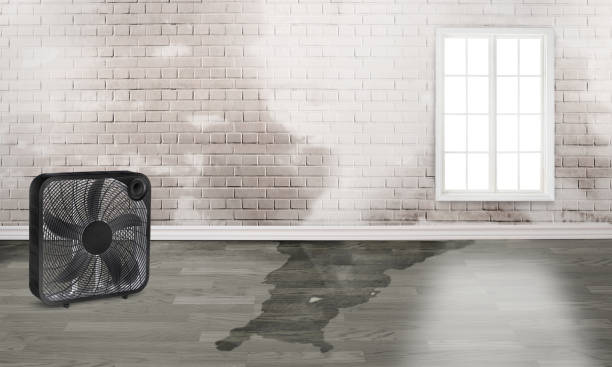 Carpet water damage restoration in Tracy City, TN