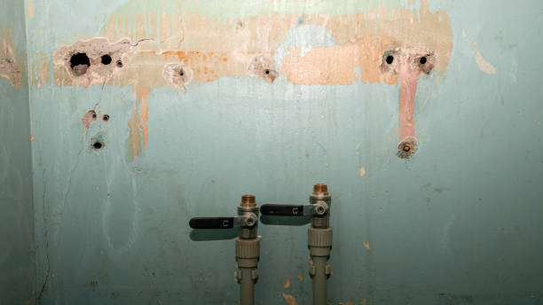 Best Carpet water damage restoration  in Tracy City, TN