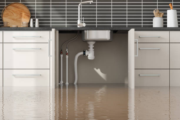 Best Water damage restoration experts  in Tracy City, TN