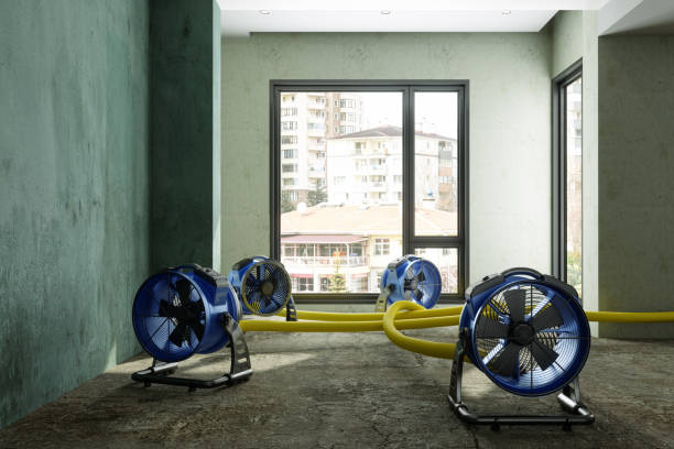 Best Local water damage restoration  in Tracy City, TN
